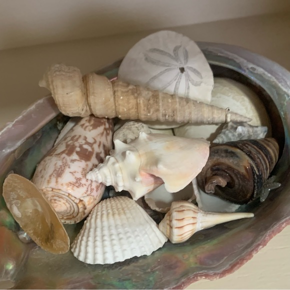 “ Salty Toes & Sandy Kisses” LISTING’s from the Sea! ✨Informational Post✨ - Picture 1 of 14